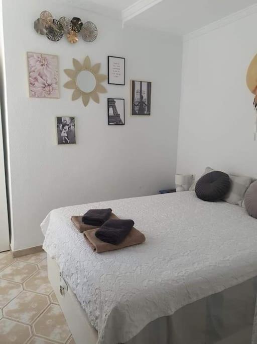 Costa Blanca Family Apartments One Bedroom Apartment Torrevieja Eksteriør bilde